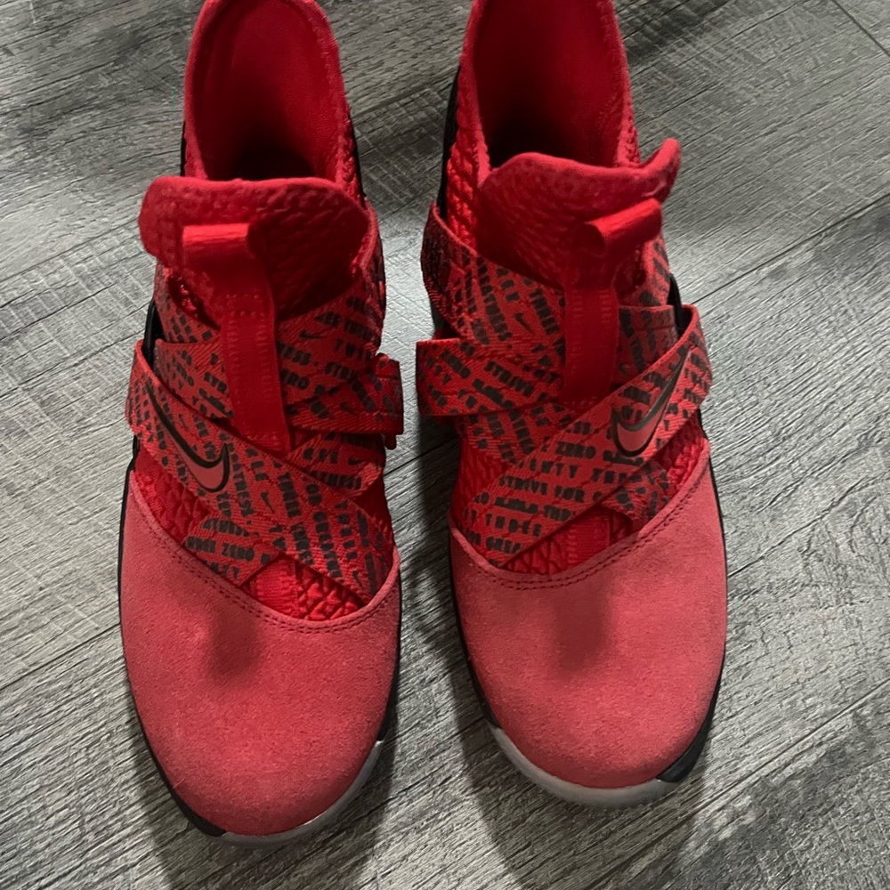 Nike velvet lebrons